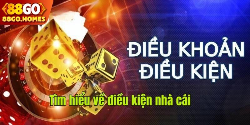 Tìm hiểu về điều kiện nhà cái